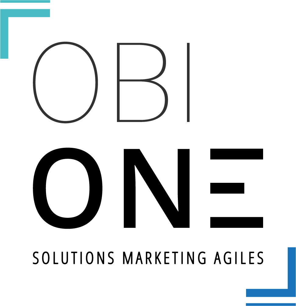 Logo OBIONE